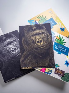 Versafire gold silver/silber