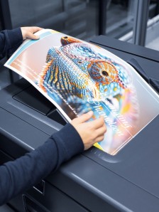 Jetfire 50 - Application